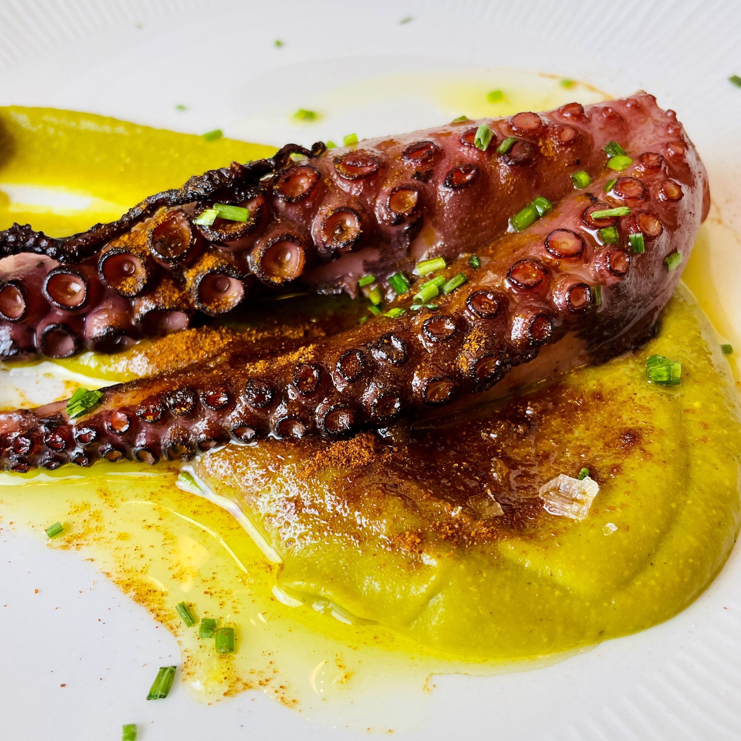 foto pulpo
